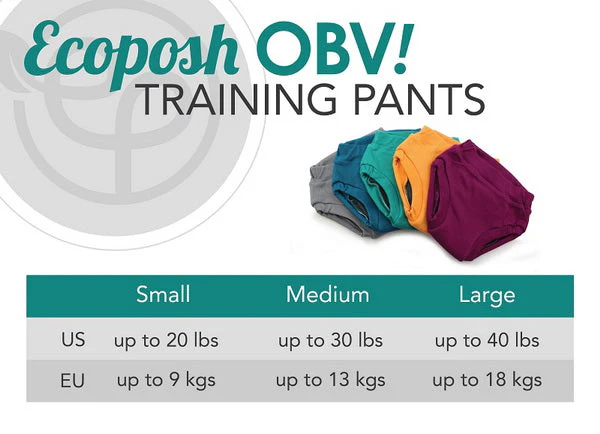Ecoposh OBV Training Pants - Saffron - Image 3