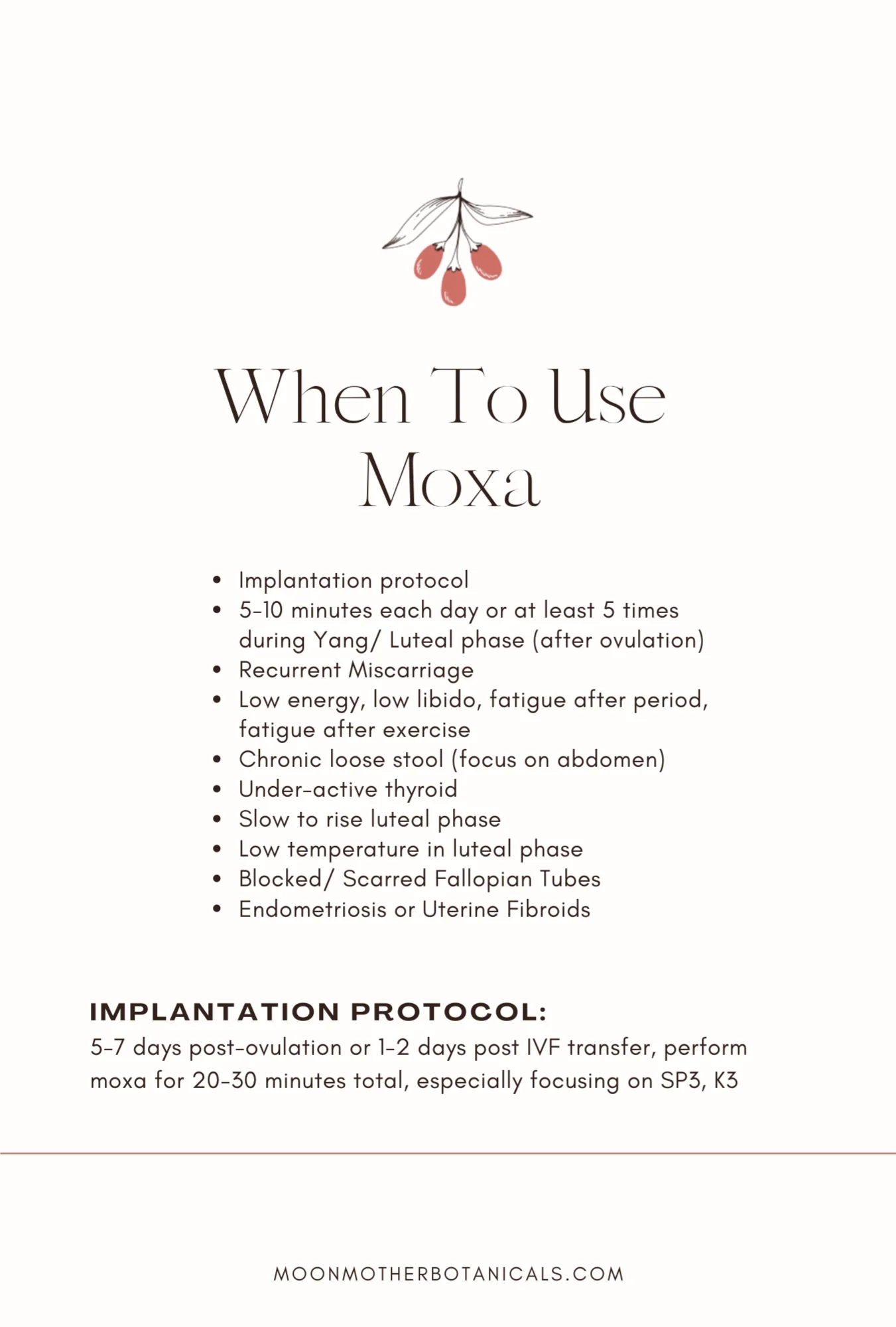 Womb Warming Fertility Bundle - Image 6